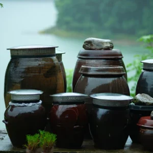 Fermentation (발효) Tour