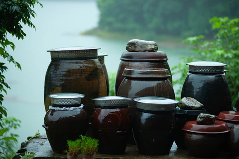 Fermentation (발효) Tour